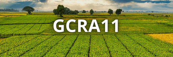 Leia mais sobre o artigo FIAGRO GCRA11