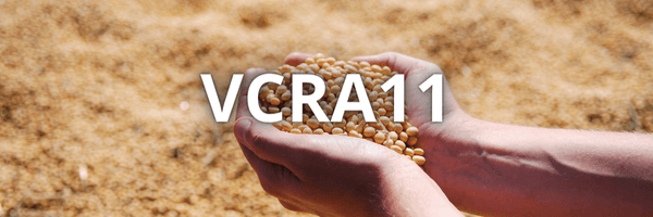 Leia mais sobre o artigo VCRA11 FIAGRO